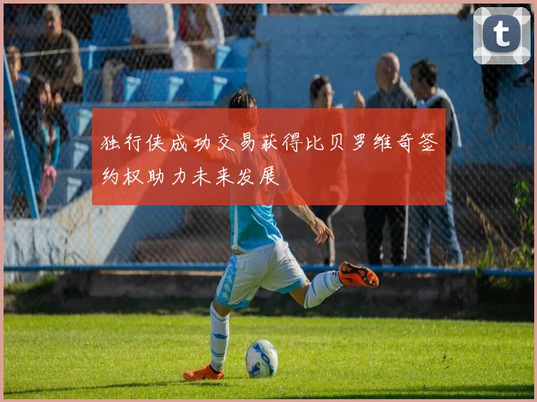 独行侠成功交易获得比贝罗维奇签约权助力未来发展